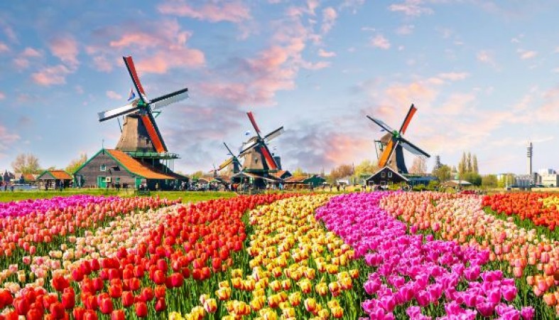 Exploring the Charms and Culture of the Netherlands