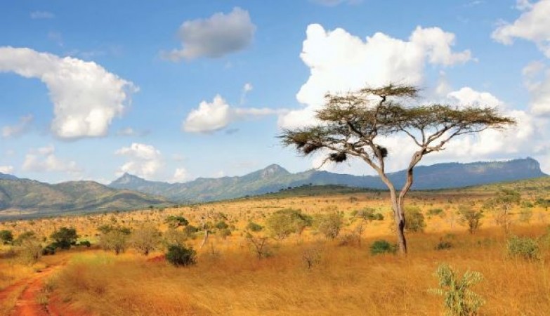 Exploring the Rich Cultural Tapestry and Vibrant Landscapes of Kenya
