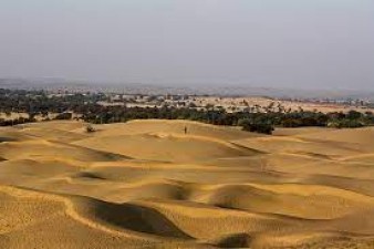 The Enigmatic Beauty of the Thar Desert: A Journey into India's Arid Wonderland
