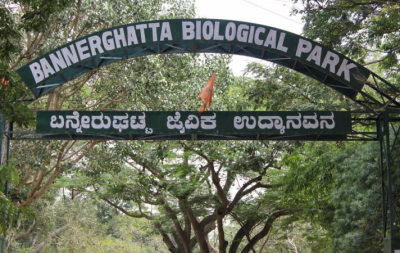Nature Lovers! Pack your bags and head to Butterfly Park of Benaragatta