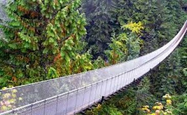Adventurous Bridge Trips: More Thrilling Than Roller Coasters