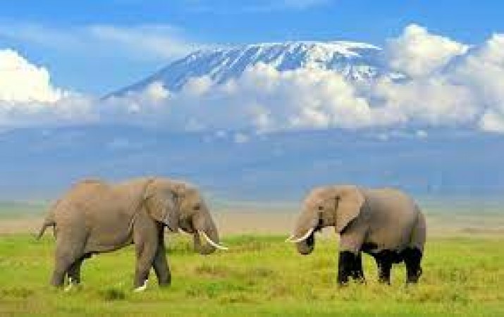 Investing in Kenya's Natural Treasures: A Gateway to Thriving Tourism