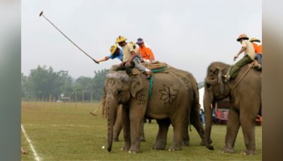 Elephant Lovers Head towards to Nepal’s Chitwan district; incredible activities lined-up