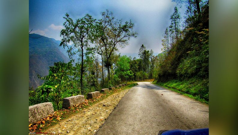 Get more close to nature With Sikkim where you can officially adopt a tree as a sibling or child