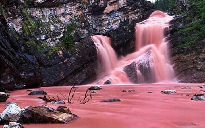 OMG Pink River is real and here’s the proof!
