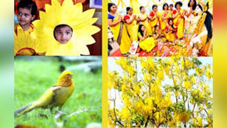 Explore the various way of celebration Basant Panchami  in different states of India
