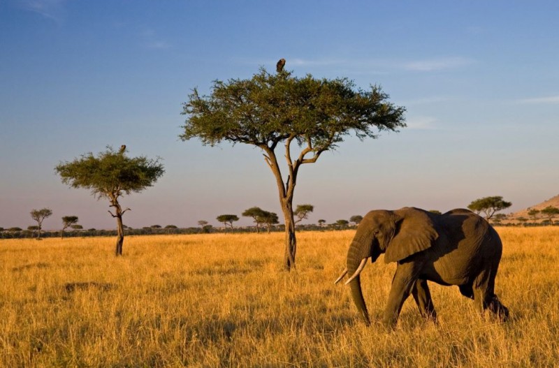 Solo Travel in Africa? Visit These Must-See Locations
