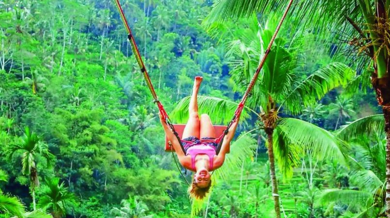 Conquer New Heights and Dive Deep: The Incredible World of Adventure Tours