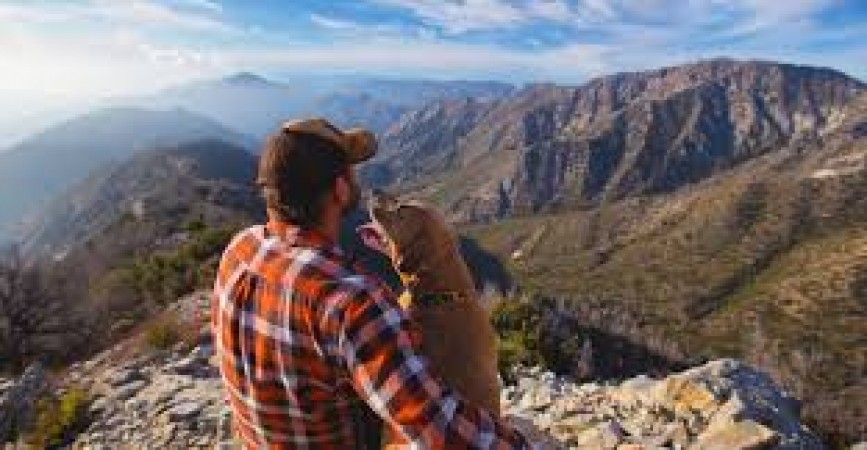 Tips for a Pet-Friendly Adventure with Your Beloved Companion