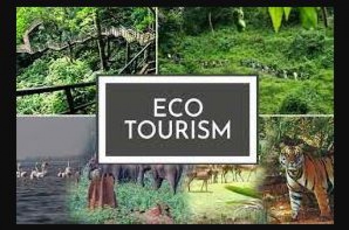Eco-Tourism: Unveiling the Environmental and Socioeconomic Benefits of Responsible Travel