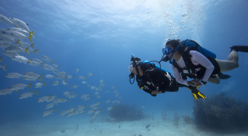 Best places  for scuba diving in india