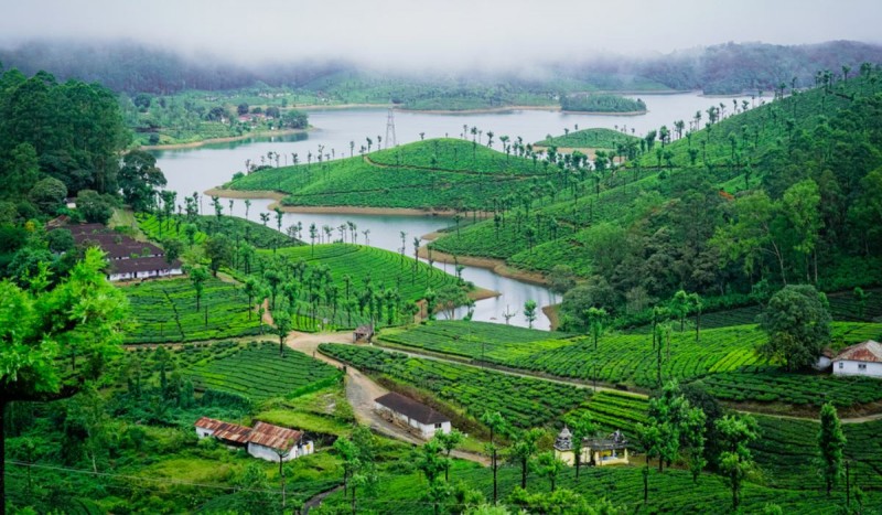 In the Western Ghats, Valparai is a lush paradise