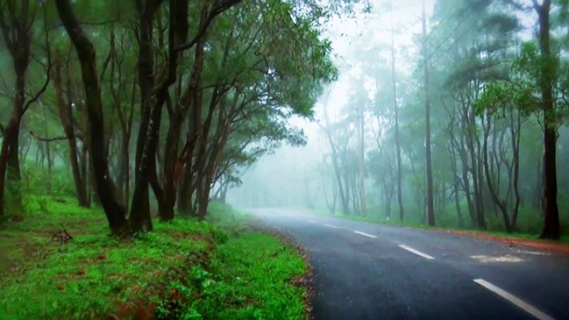 Ponmudi: A Beautiful Hill Station That Offers the Pleasures of Nature