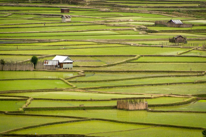 A Fascinating Journey to the Land of Untouched Beauty, Ziro