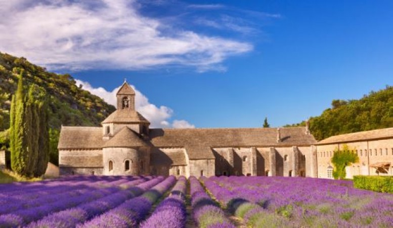 The Enchanting Charm of Provence: A Journey Through Time and Beauty