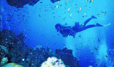 Bucket List: Locations to go Scuba Diving in the World