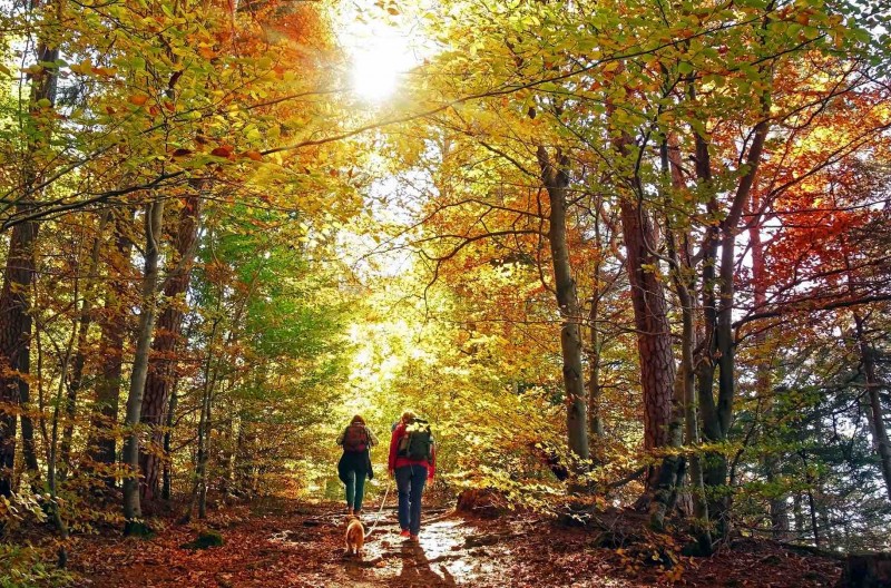 प्रकृति के साथ जुड़ें और शुरू करें एक लंबी पैदल यात्रा जो पहुंचाएगी अपने मन को शान्ति