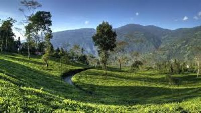 Visit these places in Darjeeling during summer vacations, you will remember the trip