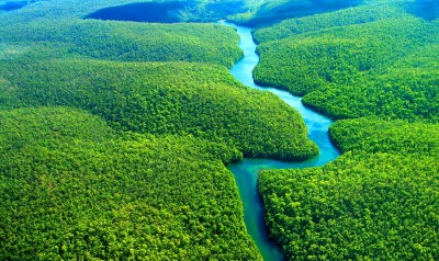 Amazon Rainforest: A place where you want to go once in your life