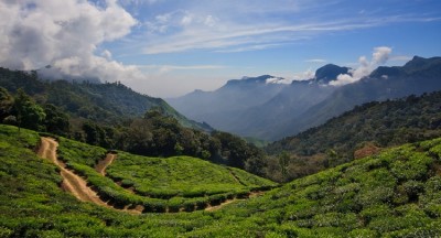 International Picnic Day: 5 Hill Stations Perfect to Visit in Kerala All Year Round