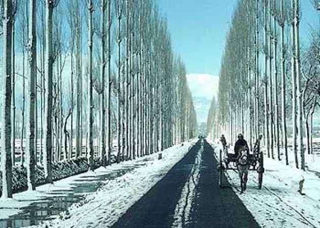 Heaven lies here: Places to visit in Gulmarg