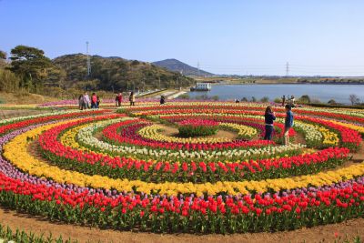 Tulip Festival 2018:  7 Tourist –attraction places near Asia’s biggest Tulip Garden