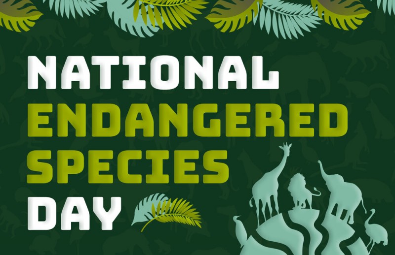 National Endangered Species Day 2021