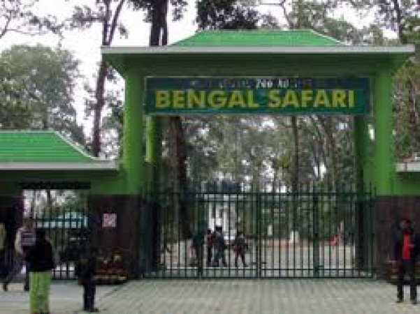 Bengal Safari reopened for the Visitors