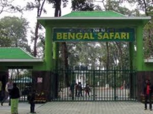 Bengal Safari reopened for the Visitors