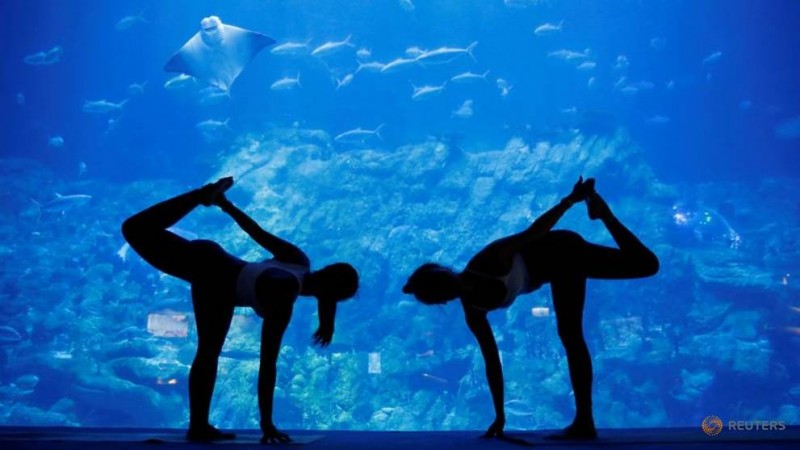 Hong Kong Ocean Park’s New Offering Aquarium Yoga Amid Corona