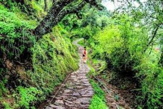 These places of Solan are best for nature lovers, definitely visit