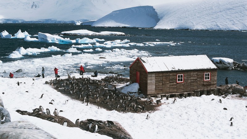 Trips plan! Tours & Adventures in Antarctica, Know More