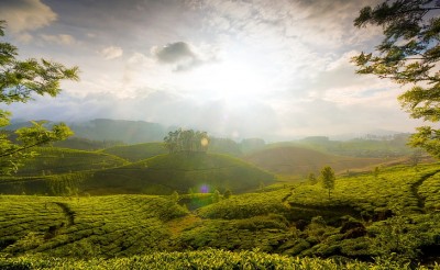 Discover the 6 enchanting locations in Kerala from Munnar to Kovalam