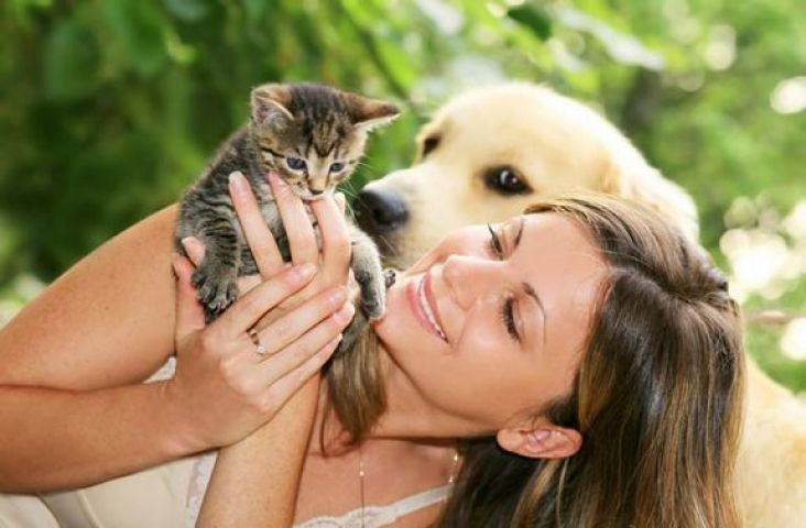 Planning to own a pet ? Know the reason how it is useful for you