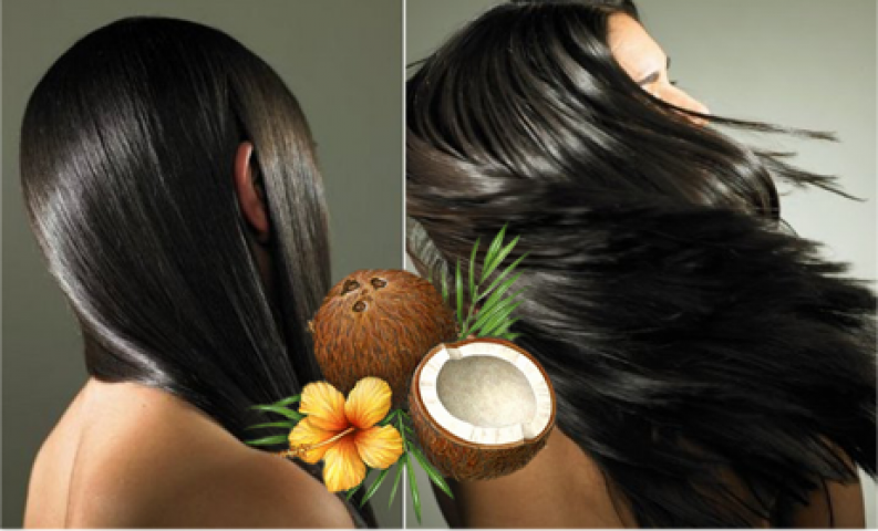 बालों की रुसी को दूर करेगा नारियल