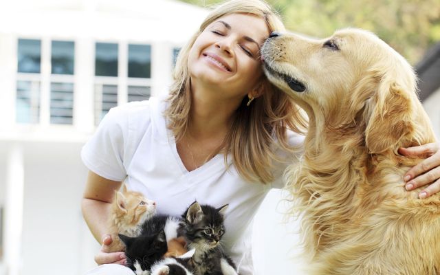 Pets are really helpful in beating stress !!!