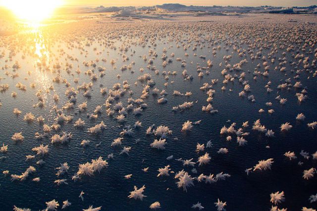 You’ll ever see;these pictures of frozen oceans,lakes and ponds