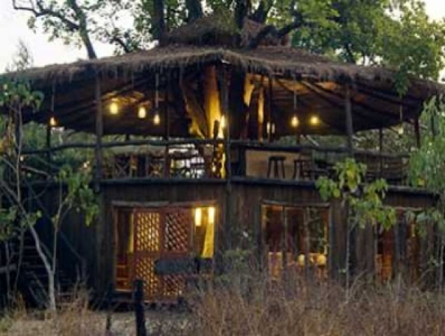 Live and Experience nature in these 6 Resorts in India!!!