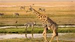 Africa’s most interesting national parks!!!