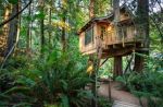 Tree houses in India you should definitely stay in!!!