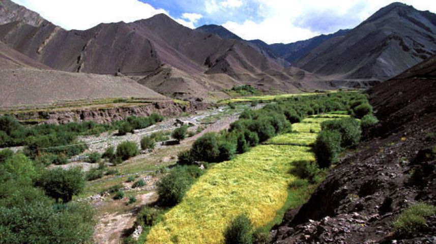 These pictures define the beauty of Ladakh !