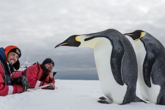 Planning a trip to ANTARCTICA,then here are some less known facts about it !