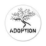 The problems and challenges of adoption!!!