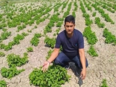बिहार में शुरू हुई बेहद महंगी सब्जी की खेती, कीमत 1 लाख रुपए किलो