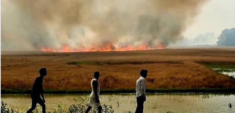 गेंहूं की खड़ी फसल में भड़की भीषण आग, 40 बीघे में लगे गेंहू हुआ राख, क्या किसानों को मिलेगा मुआवज़ा ?
