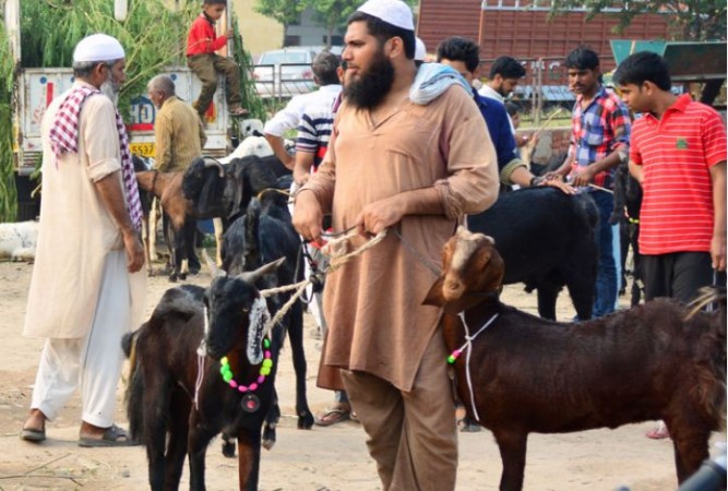 'बिना बेहोश किए नहीं कर सकते जानवरों की हत्या..', बीच रमजान में कर्नाटक सरकार का आदेश