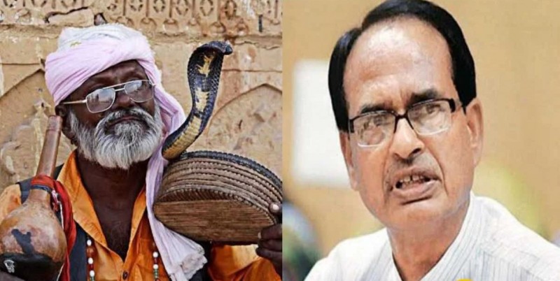 4 snake catchers will be deployed for CM Shivraj's security, know why?