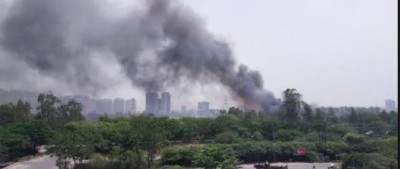 Ghaziabad: Massive fire breaks out in slums near Cowshed, several cows charred