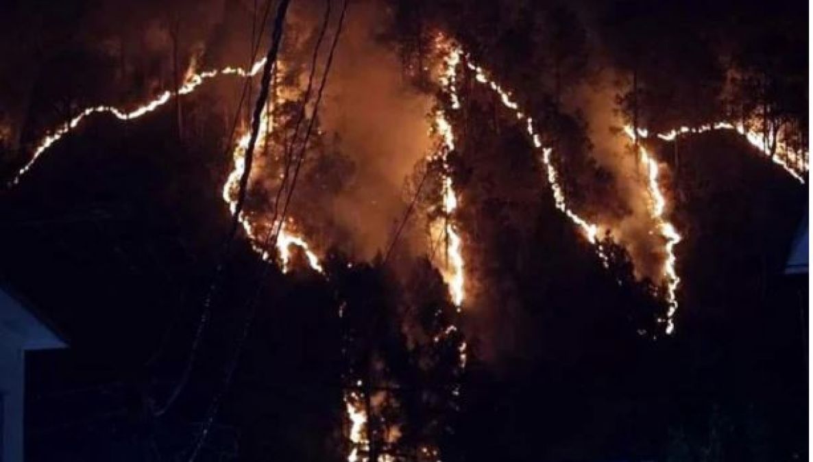 Riotous fire breaks out on Mount Varunavat, forest workers scorched to death