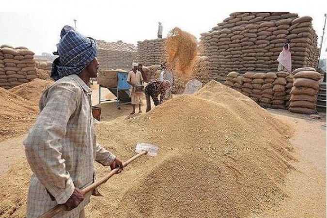 Wheat procurement started in Madhya Pradesh from today